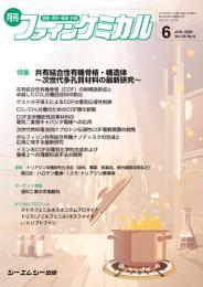 t@CP~J