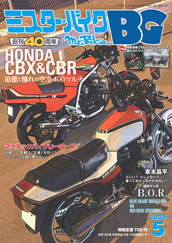 Mr.Bike BGi~X^[EoCN@oC[YKChj